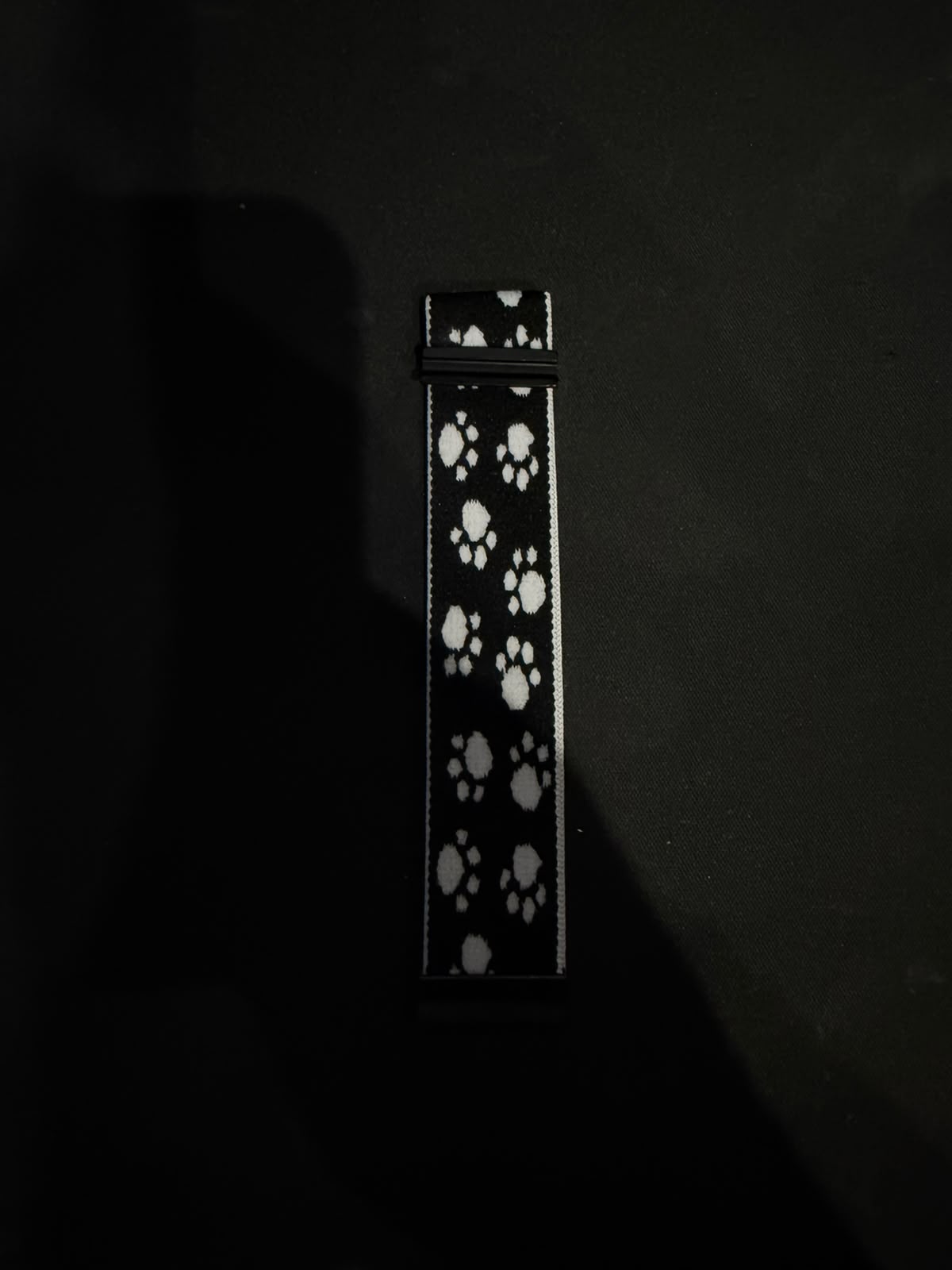 Black Paw Band 5.0