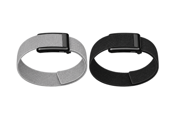 BICEP BANDS