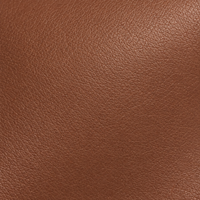Brown leather Band 5.0