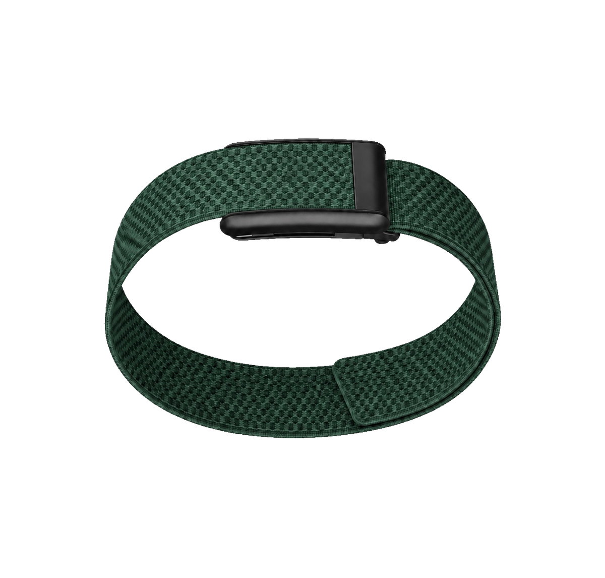 Green Bicep Band 5.0