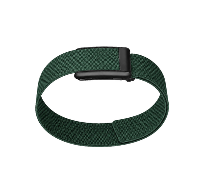 Green Bicep Band 5.0
