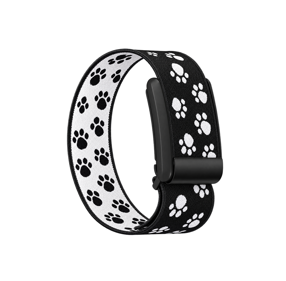 Black Paw Band 5.0