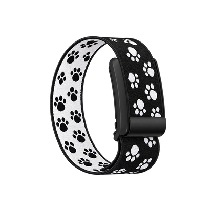 Black Paw Band 5.0