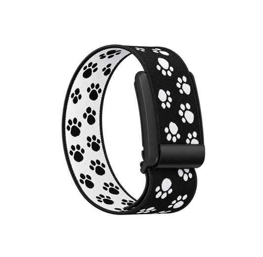 Black Paw Band 5.0