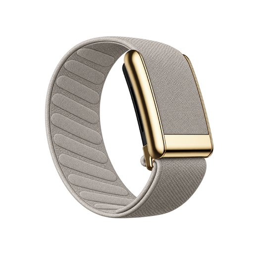 Light Grey/Gold Coreknit Band 5.0