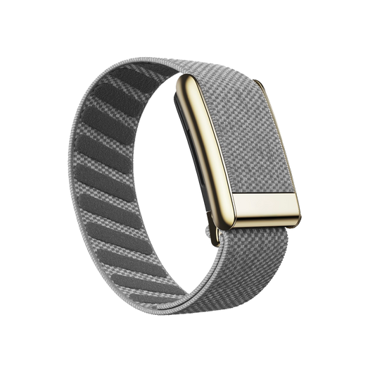 Grey/Gold Superknit Band 5.0