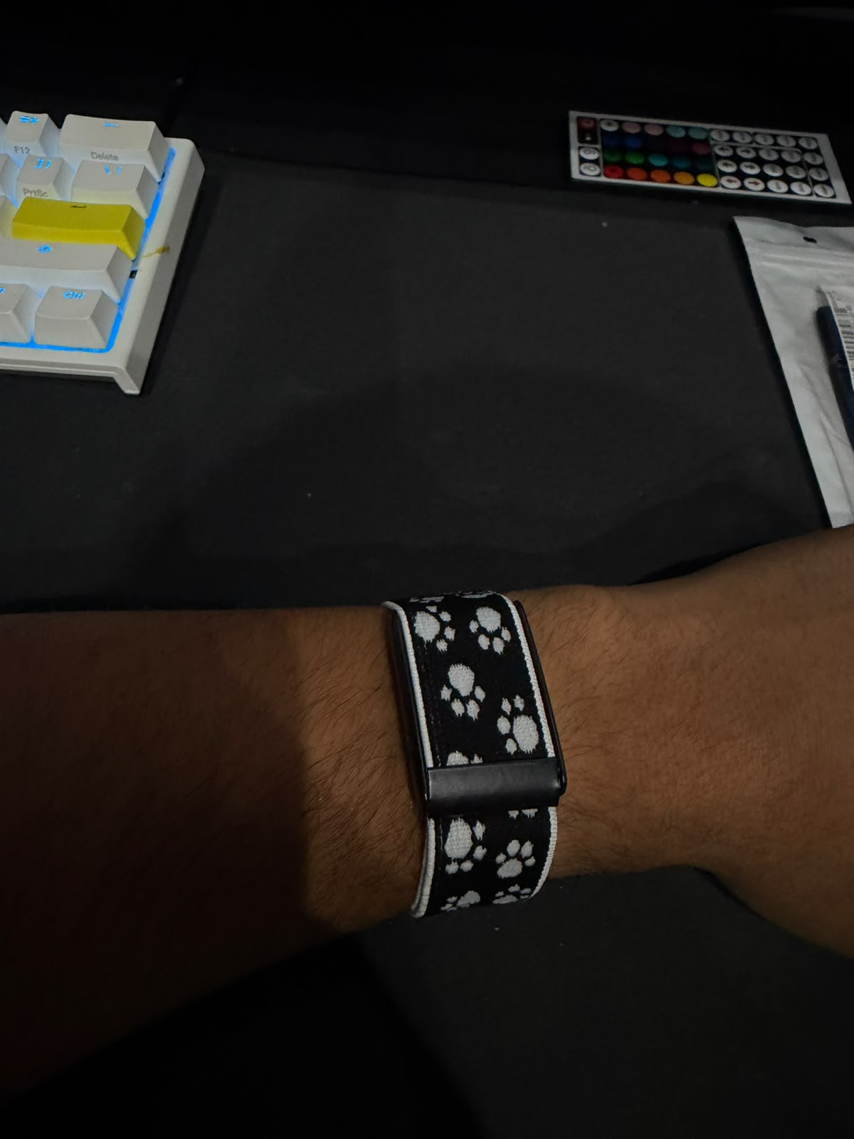 Black Paw Band 5.0