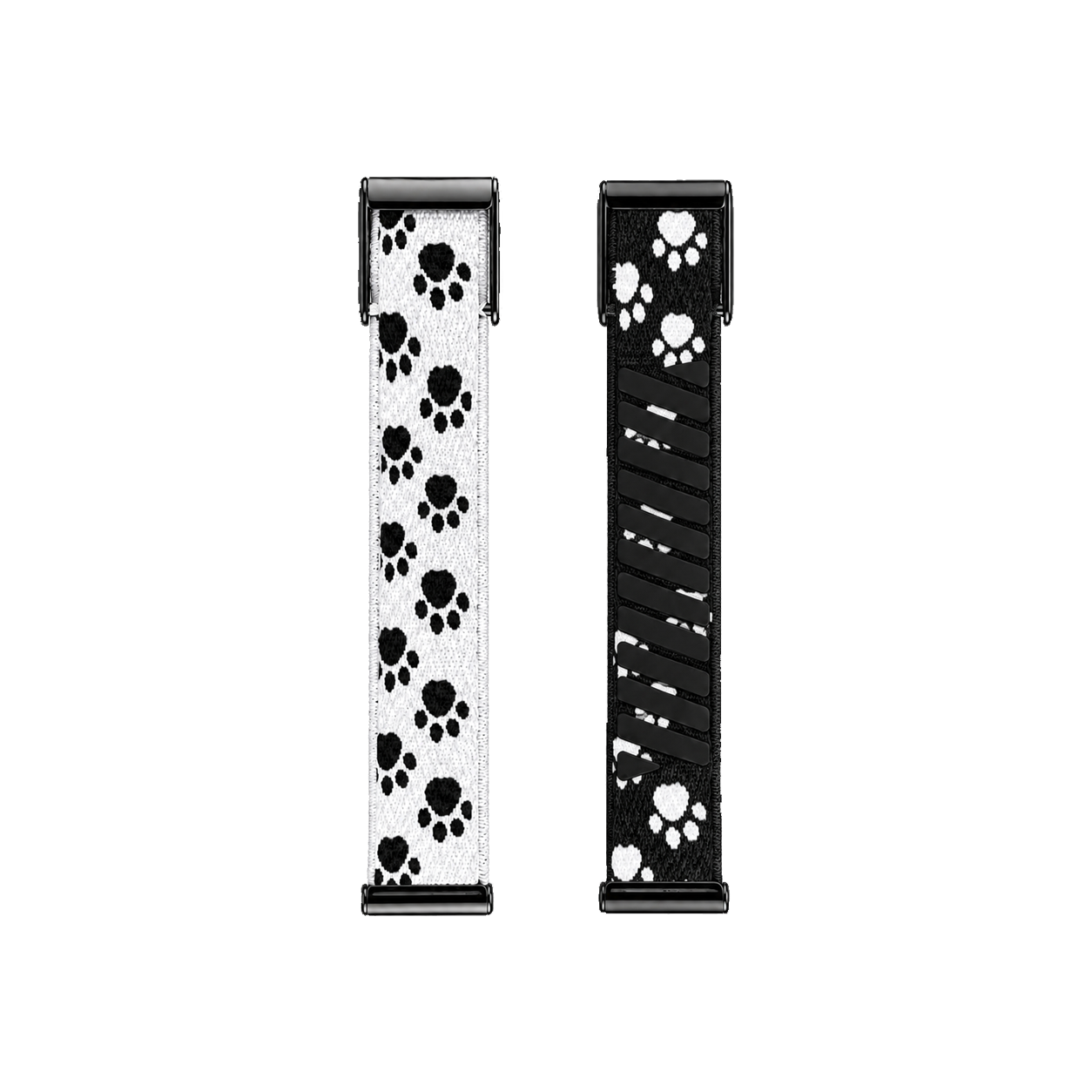 Black Paw Band 5.0