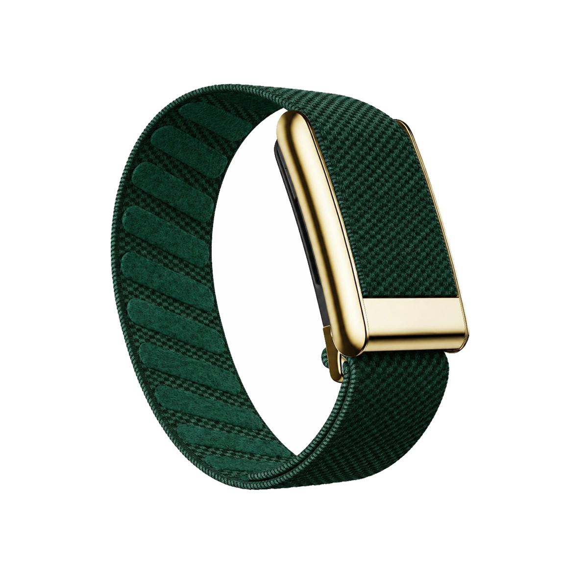 Green/Gold Superknit Band 5.0
