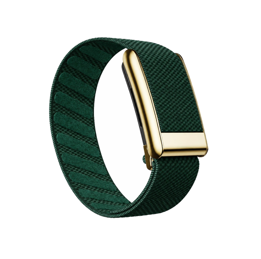 Green/Gold Superknit Band 5.0