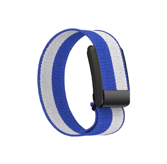 Blue Striped Band 5.0