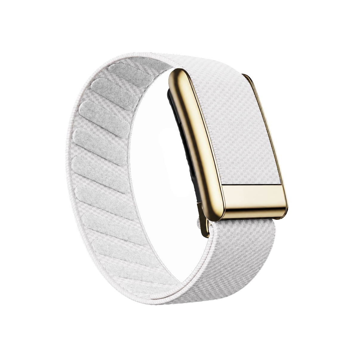 White/Gold Superknit Band 5.0