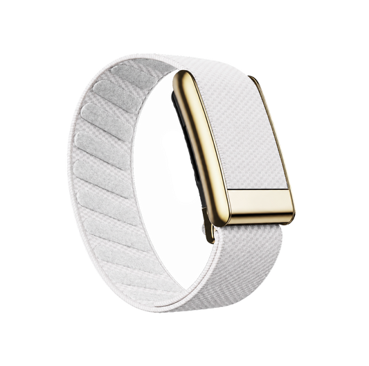 White/Gold Superknit Band 5.0